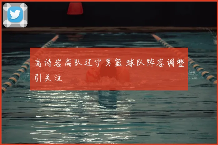高诗岩离队辽宁男篮 球队阵容调整引关注