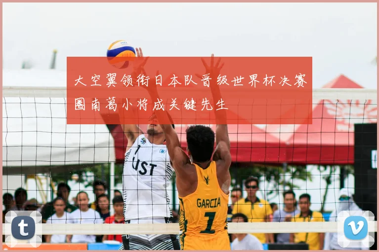 大空翼领衔日本队晋级世界杯决赛圈南葛小将成关键先生