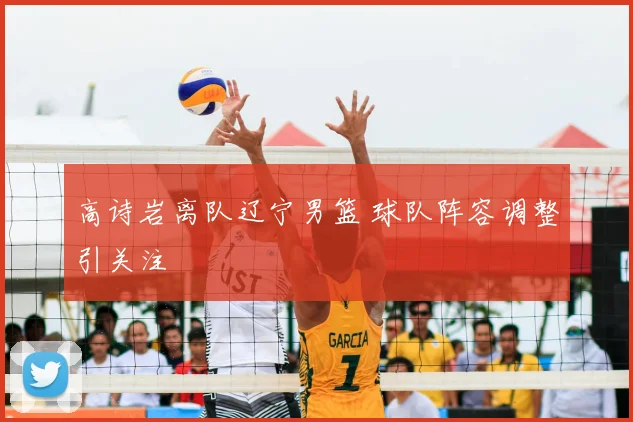 高诗岩离队辽宁男篮 球队阵容调整引关注