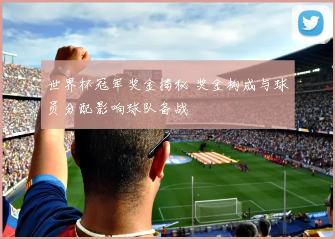 世界杯冠军奖金揭秘 奖金构成与球员分配影响球队备战