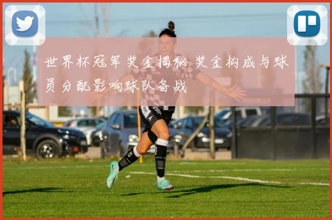 世界杯冠军奖金揭秘 奖金构成与球员分配影响球队备战