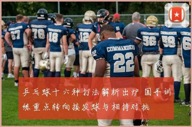 乒乓球十六种打法解析出炉 国手训练重点转向接发球与相持对抗
