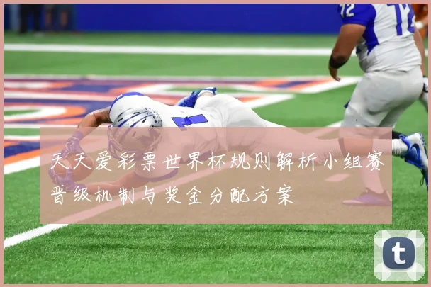天天爱彩票世界杯规则解析小组赛晋级机制与奖金分配方案