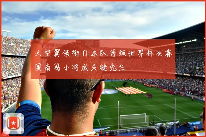大空翼领衔日本队晋级世界杯决赛圈南葛小将成关键先生