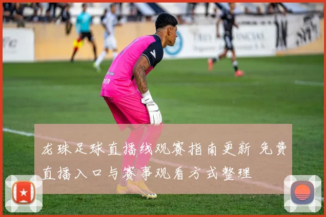 龙珠足球直播线观赛指南更新 免费直播入口与赛事观看方式整理